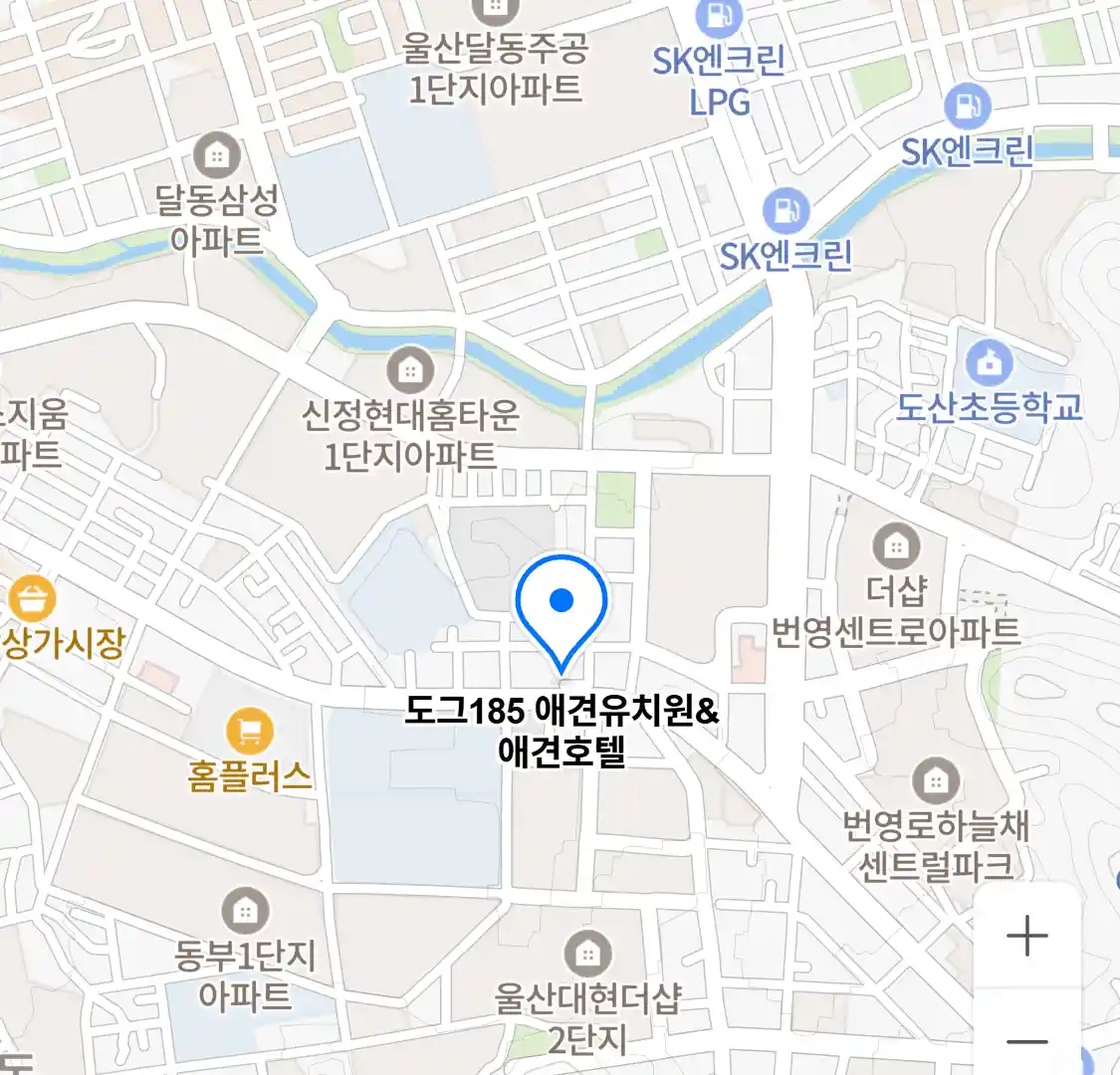 도그185 애견유치원&애견호텔 위치