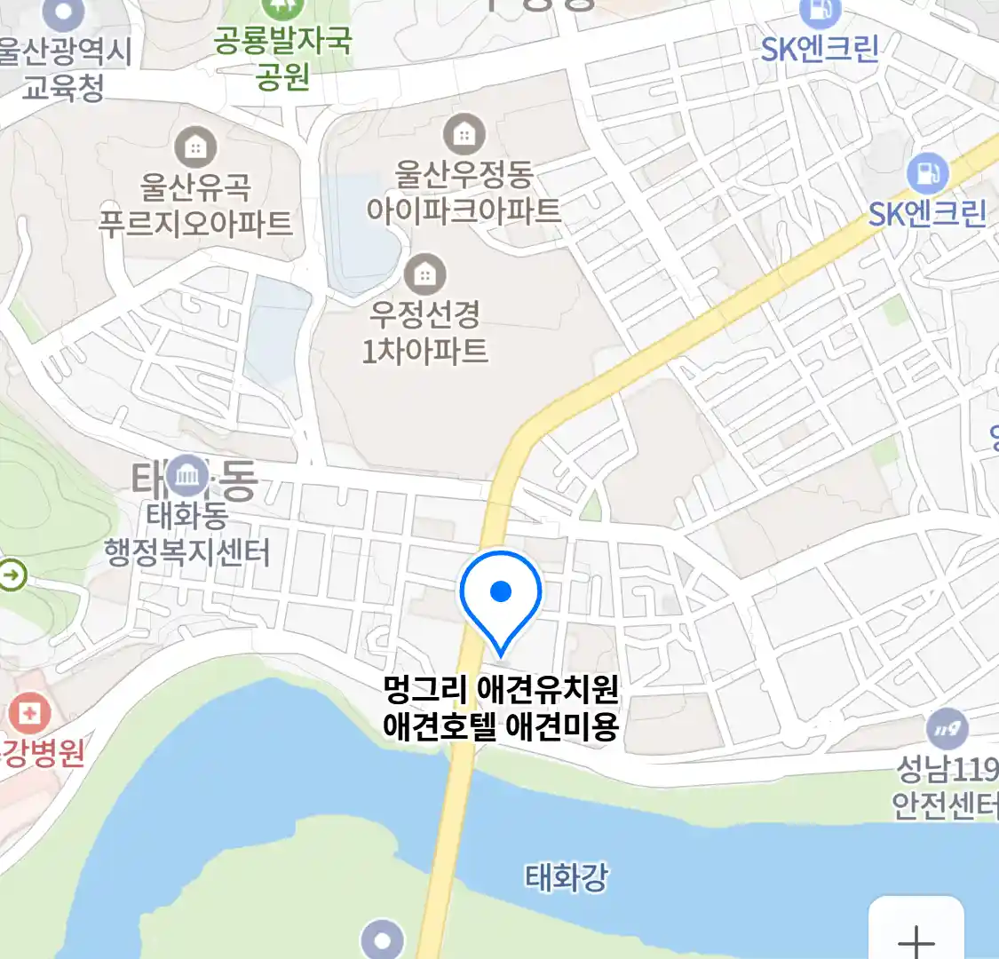 멍그리 애견유치원 애견호텔 애견미용 위치