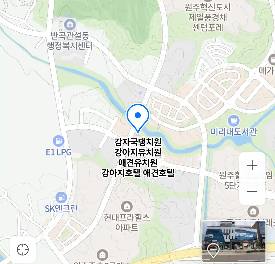 감자국댕치원 강아지유치원 애견유치원 강아지호텔 애견호텔 위치