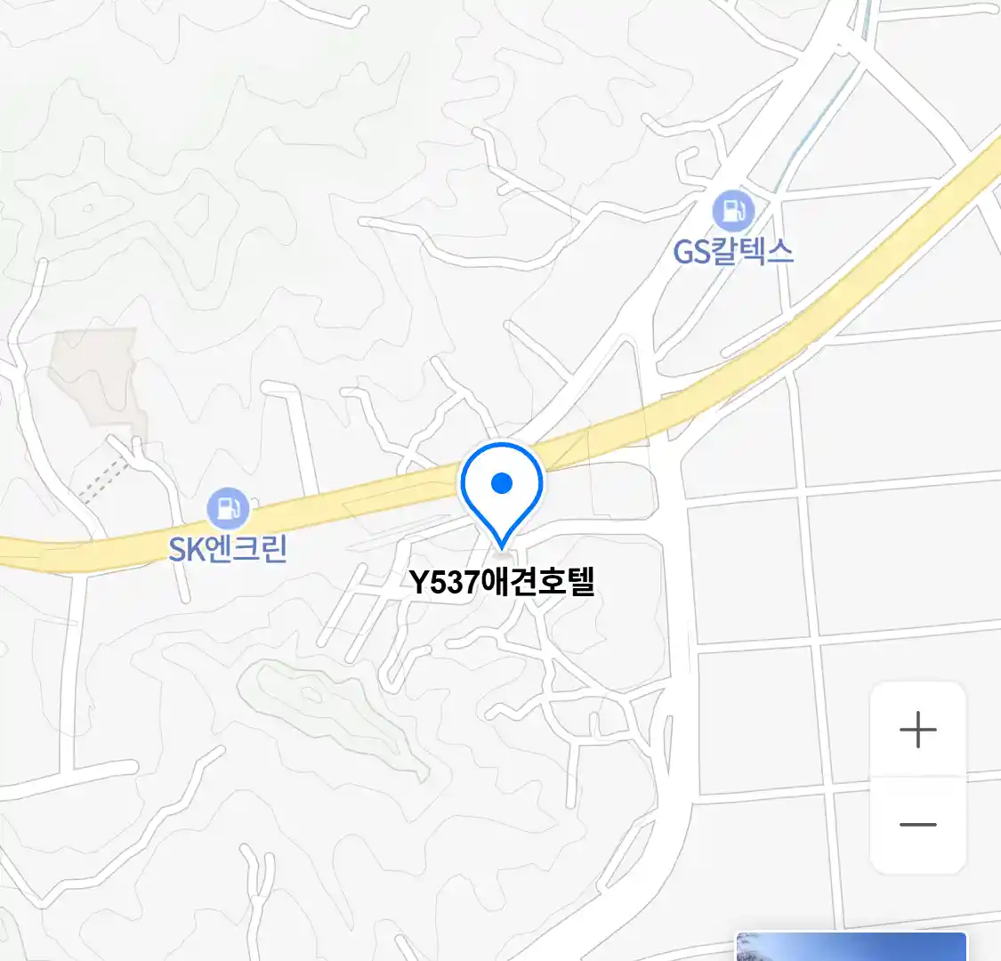 Y537애견호텔 위치