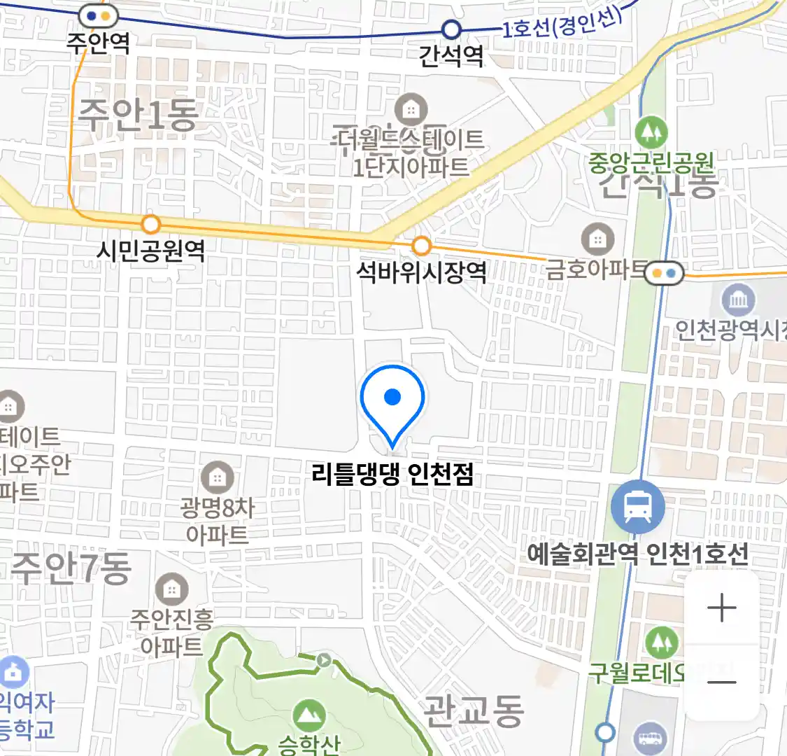 리틀댕댕 인천점 위치