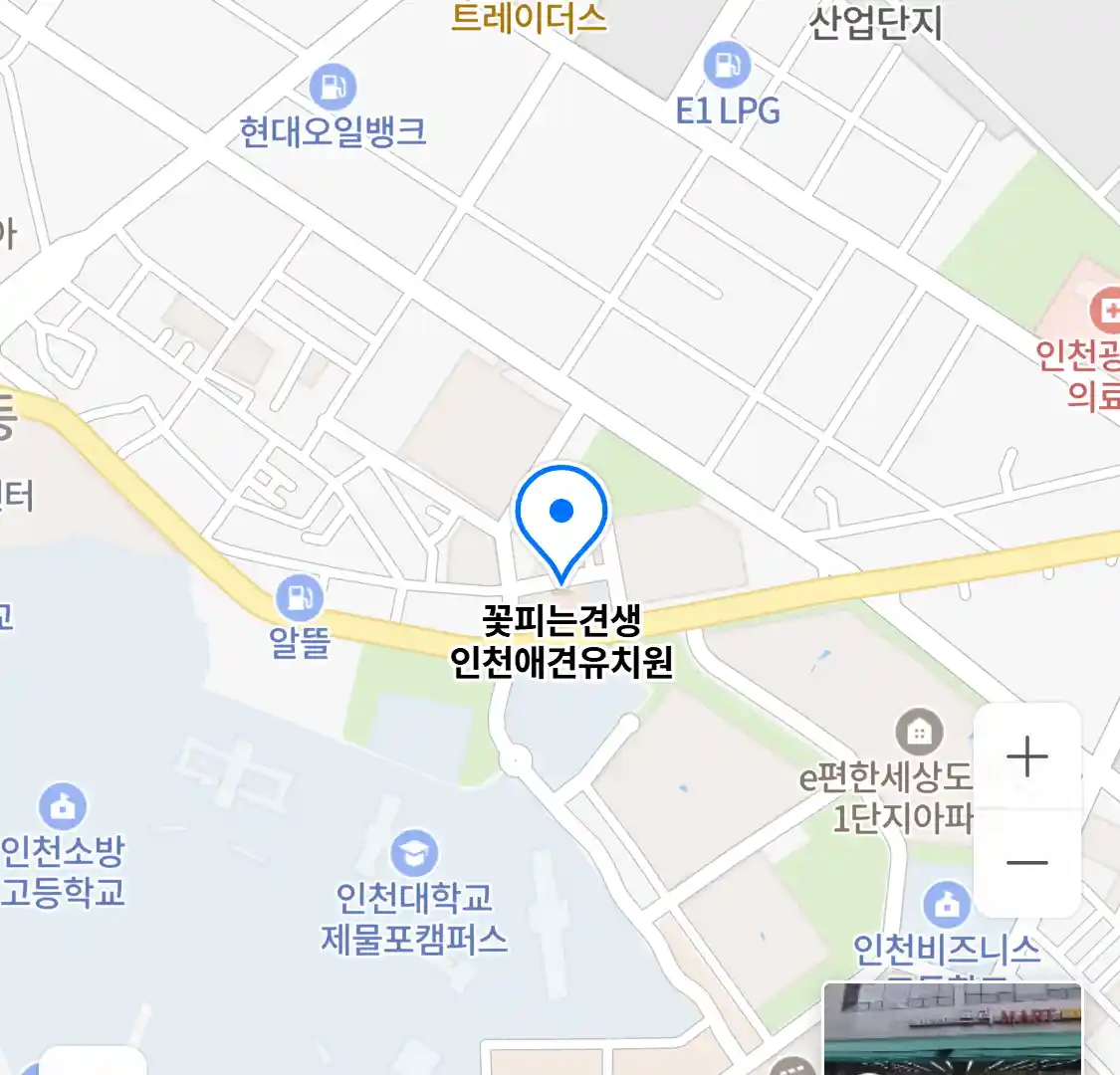 꽃피는견생 인천애견유치원 위치