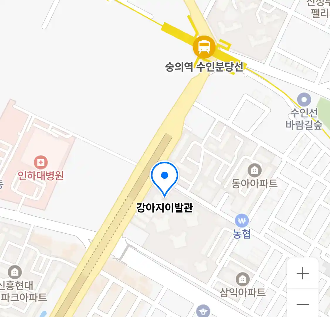 강아지이발관 위치