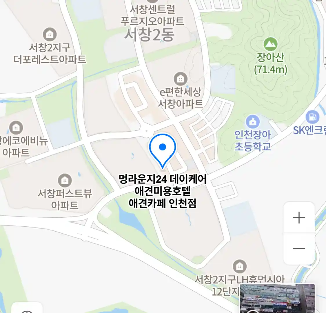 멍라운지24 데이케어 애견미용호텔 애견카페 인천점 위치