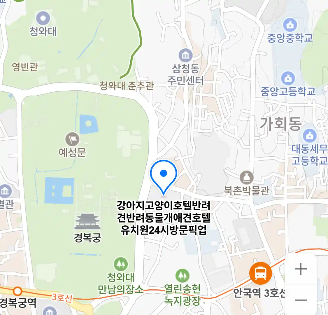 강아지고양이호텔반려견반려동물개애견호텔유치원24시방문픽업 (궁정동) 위치