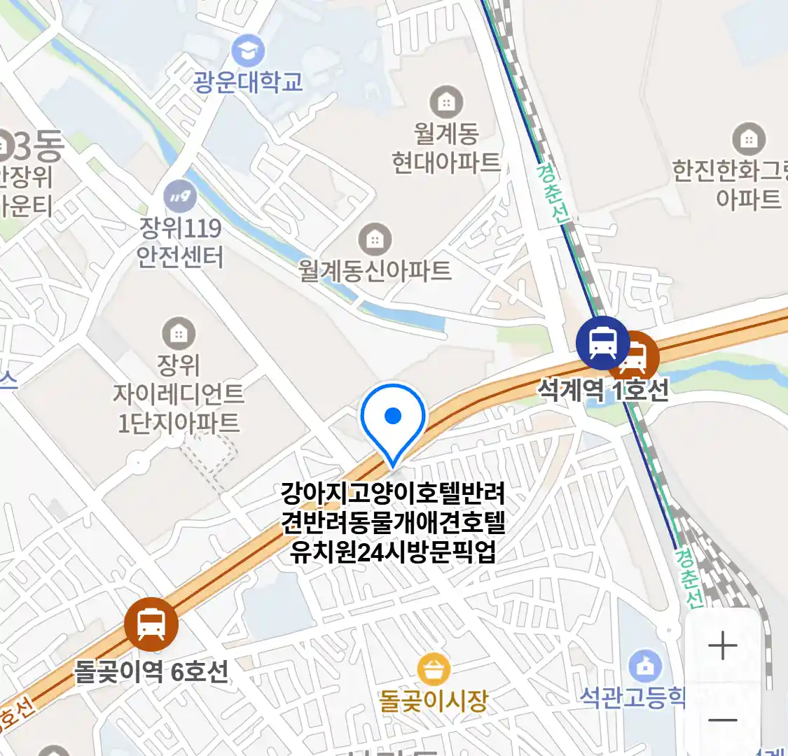 강아지고양이호텔반려견반려동물개애견호텔유치원24시방문픽업 위치