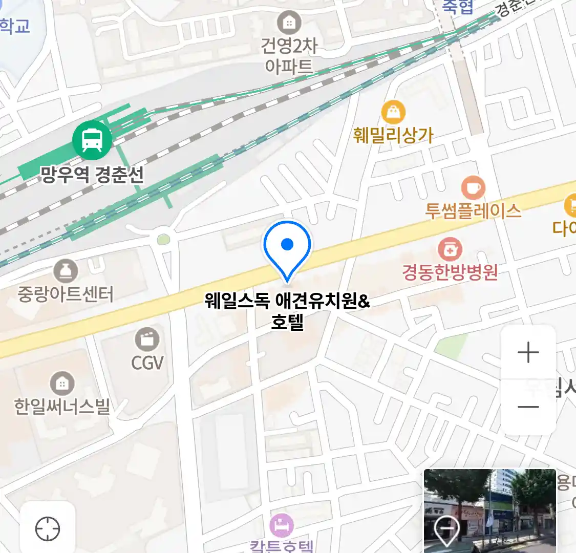 웨일스독 애견유치원&호텔 위치