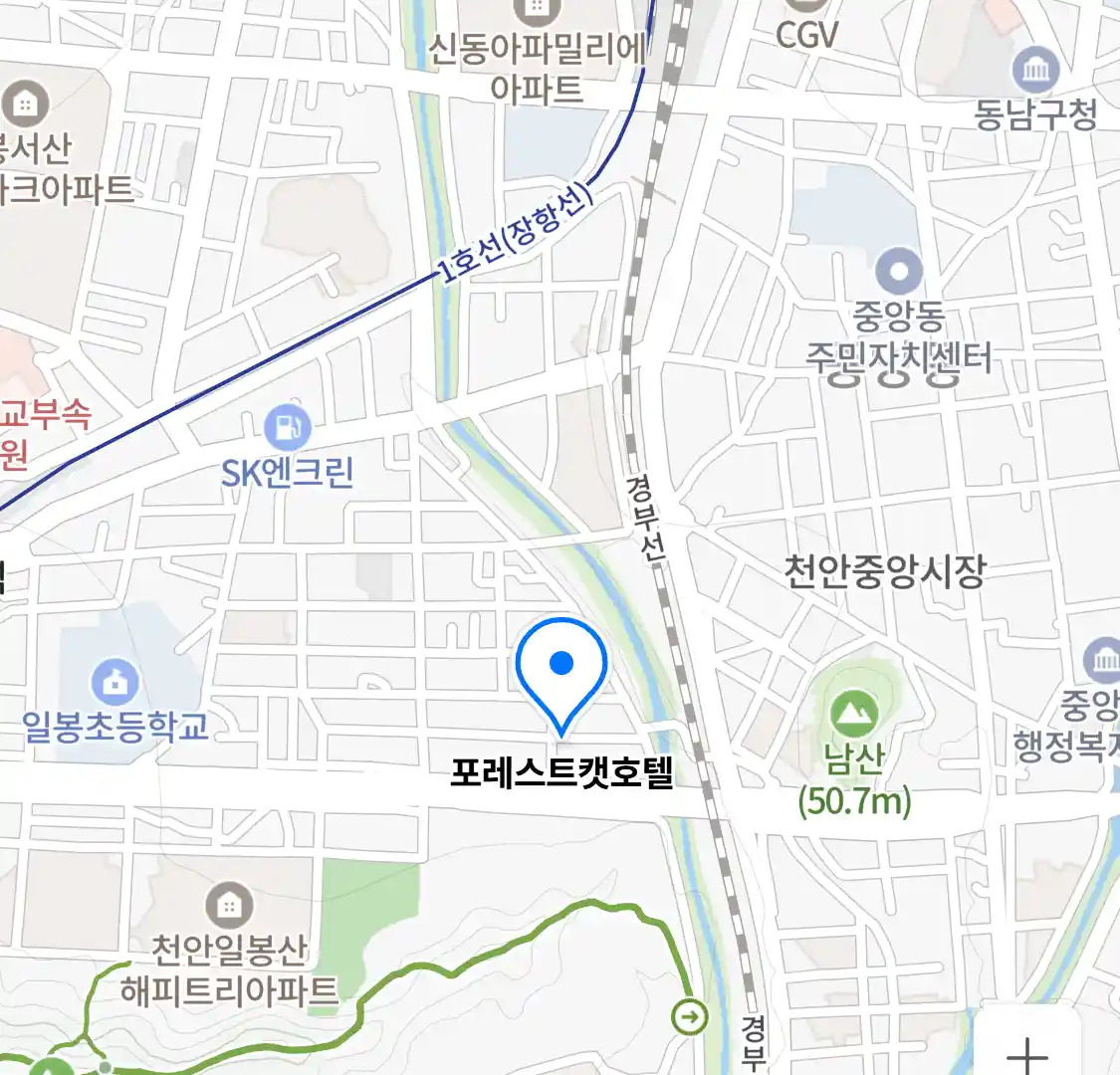 포레스트캣호텔 위치