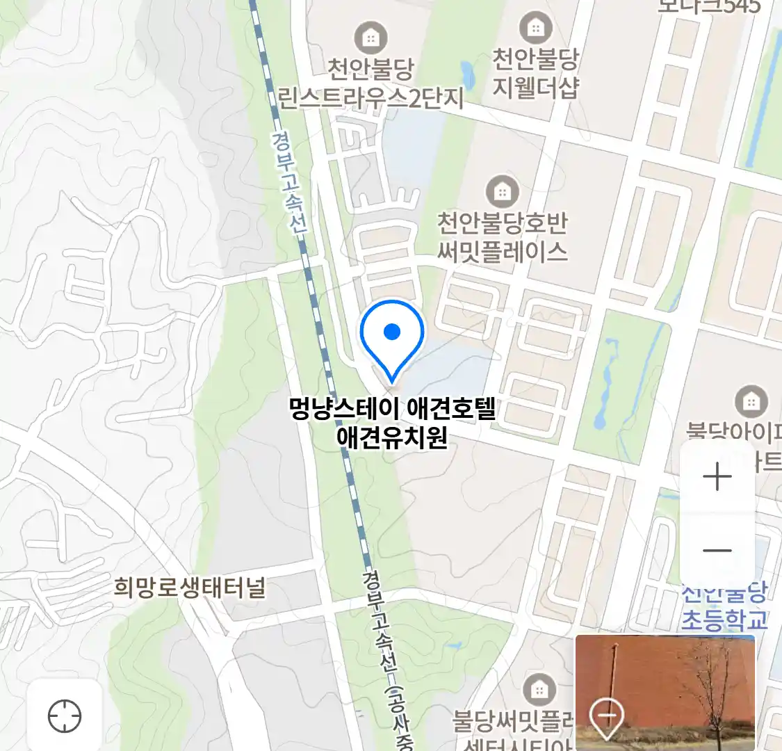 멍냥스테이 애견호텔 애견유치원 위치