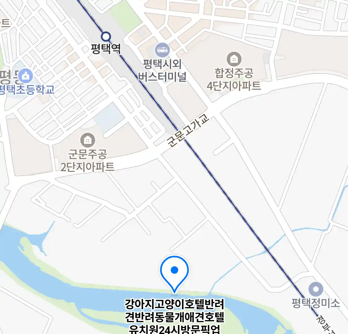 강아지고양이호텔반려견반려동물개애견호텔유치원24시방문픽업 (평택) 위치