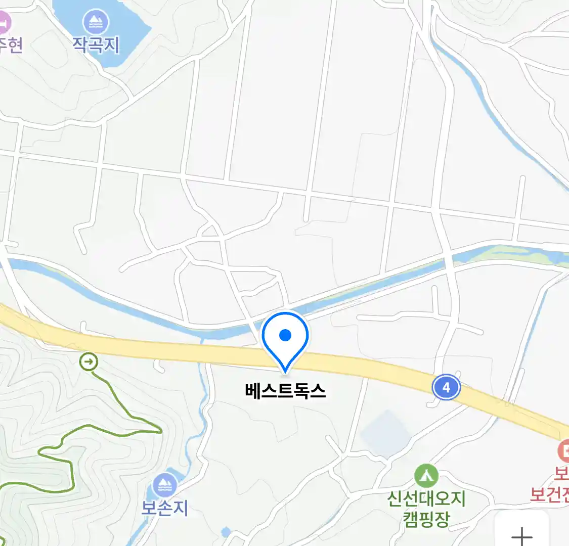 베스트독스 위치