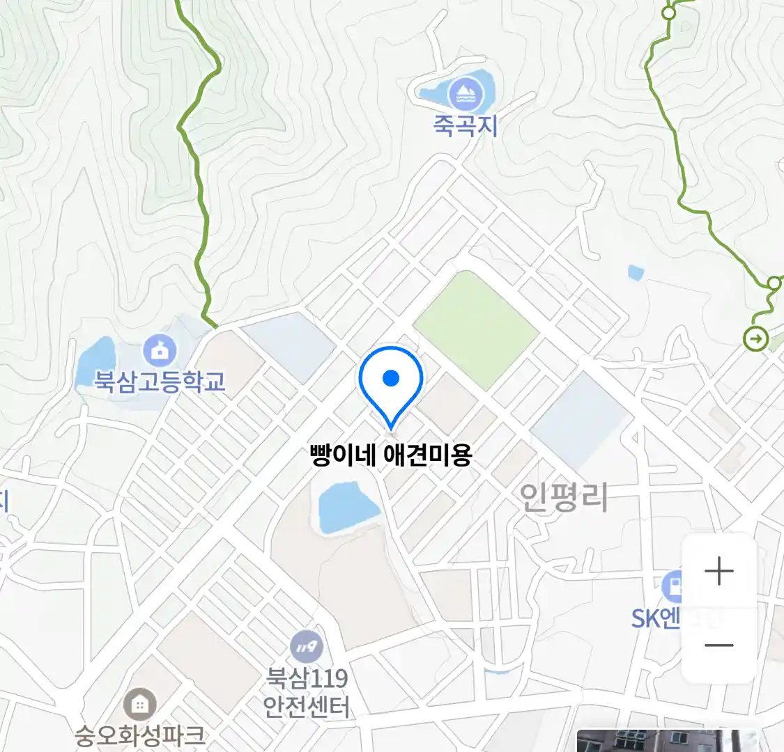 빵이네 애견미용 위치