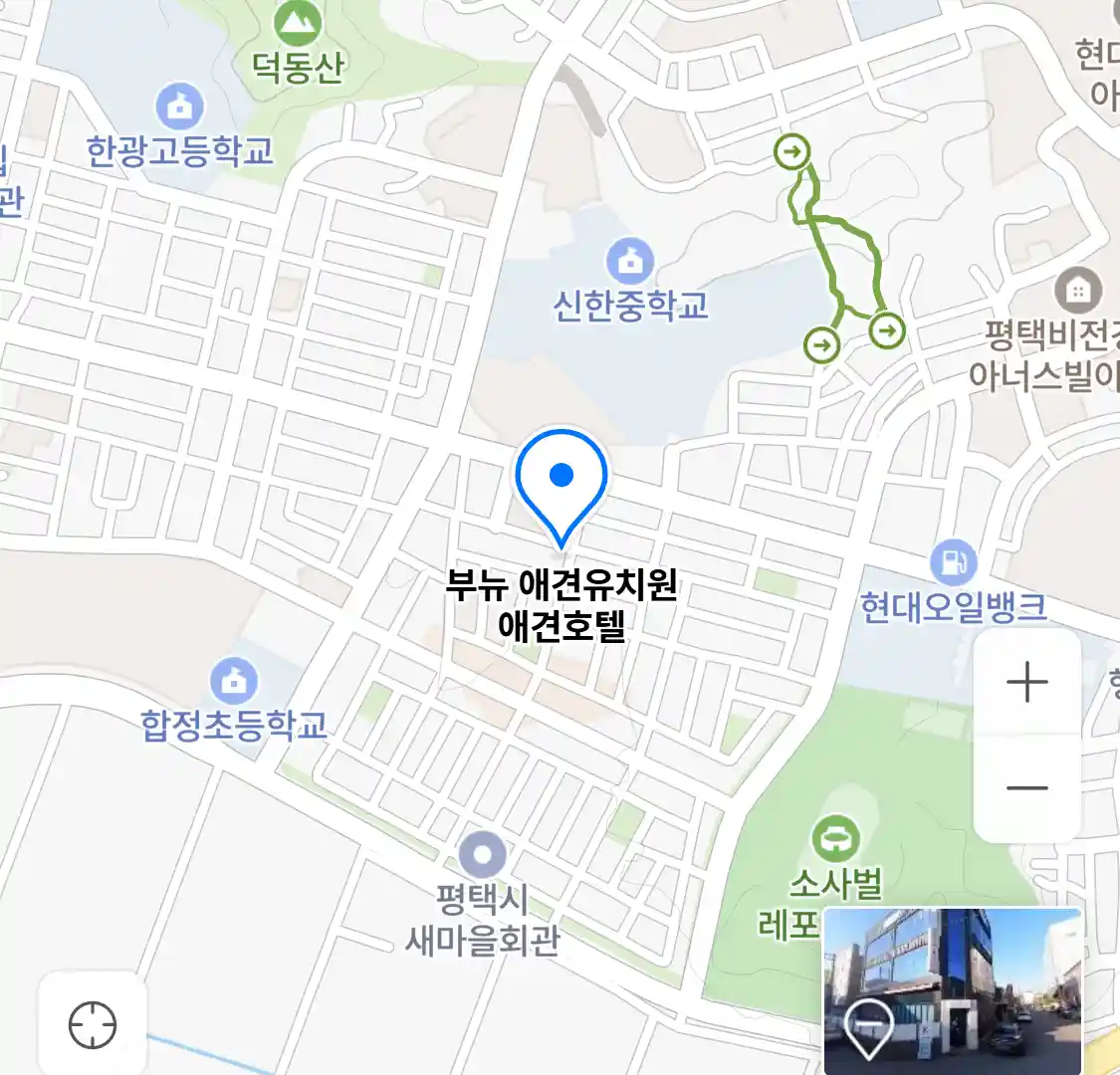 부뉴 애견유치원 애견호텔 위치