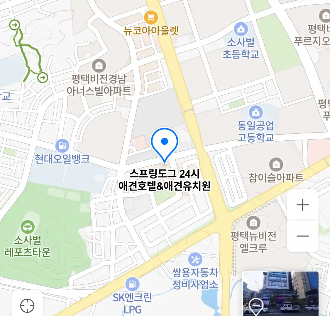 스프링도그 24시 애견호텔&애견유치원 위치