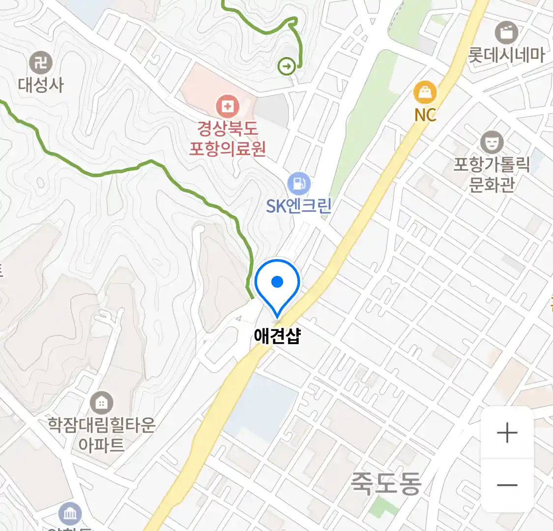 애견샵 위치