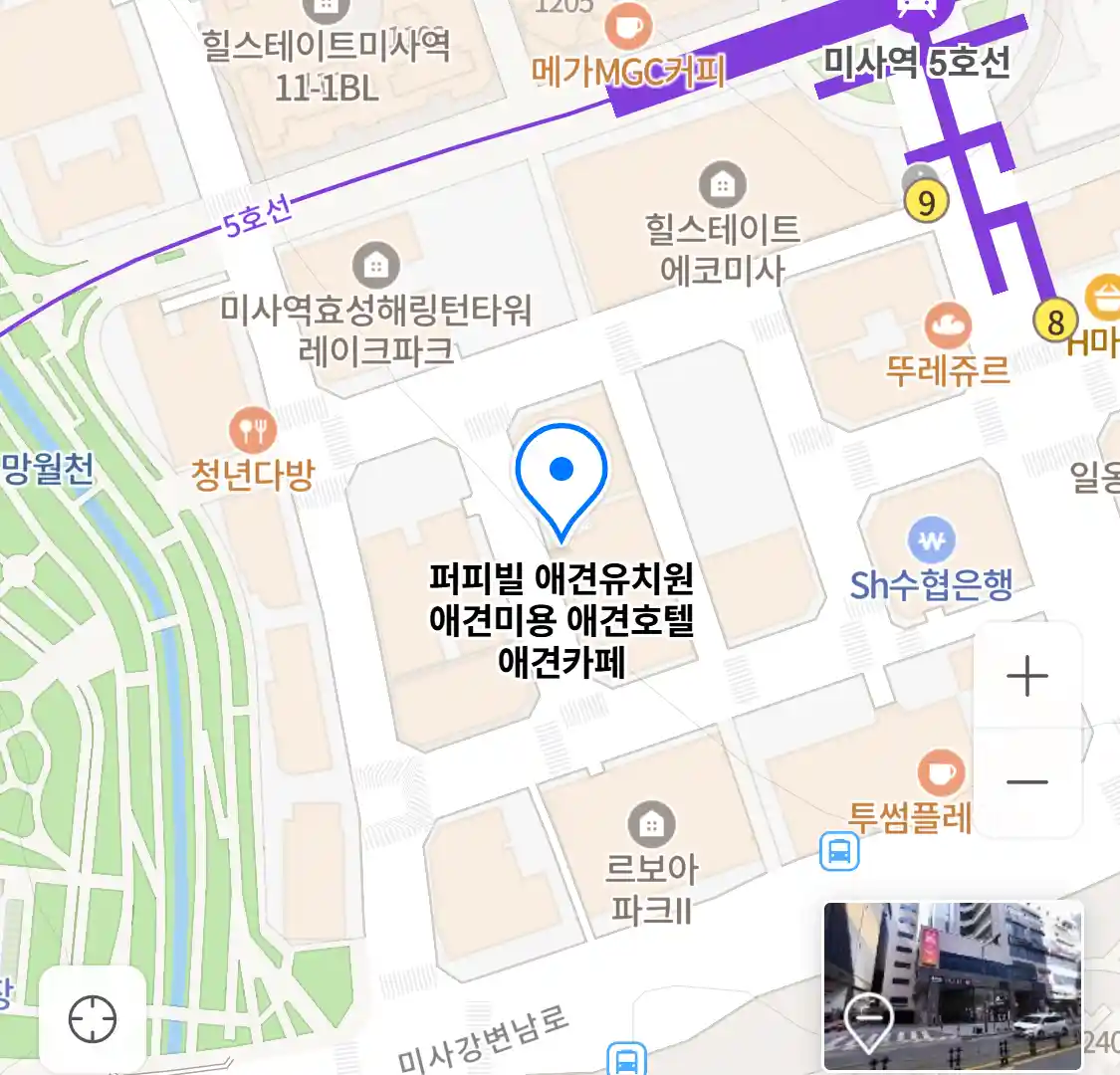 퍼피빌 애견유치원 애견미용 애견호텔 애견카페 위치