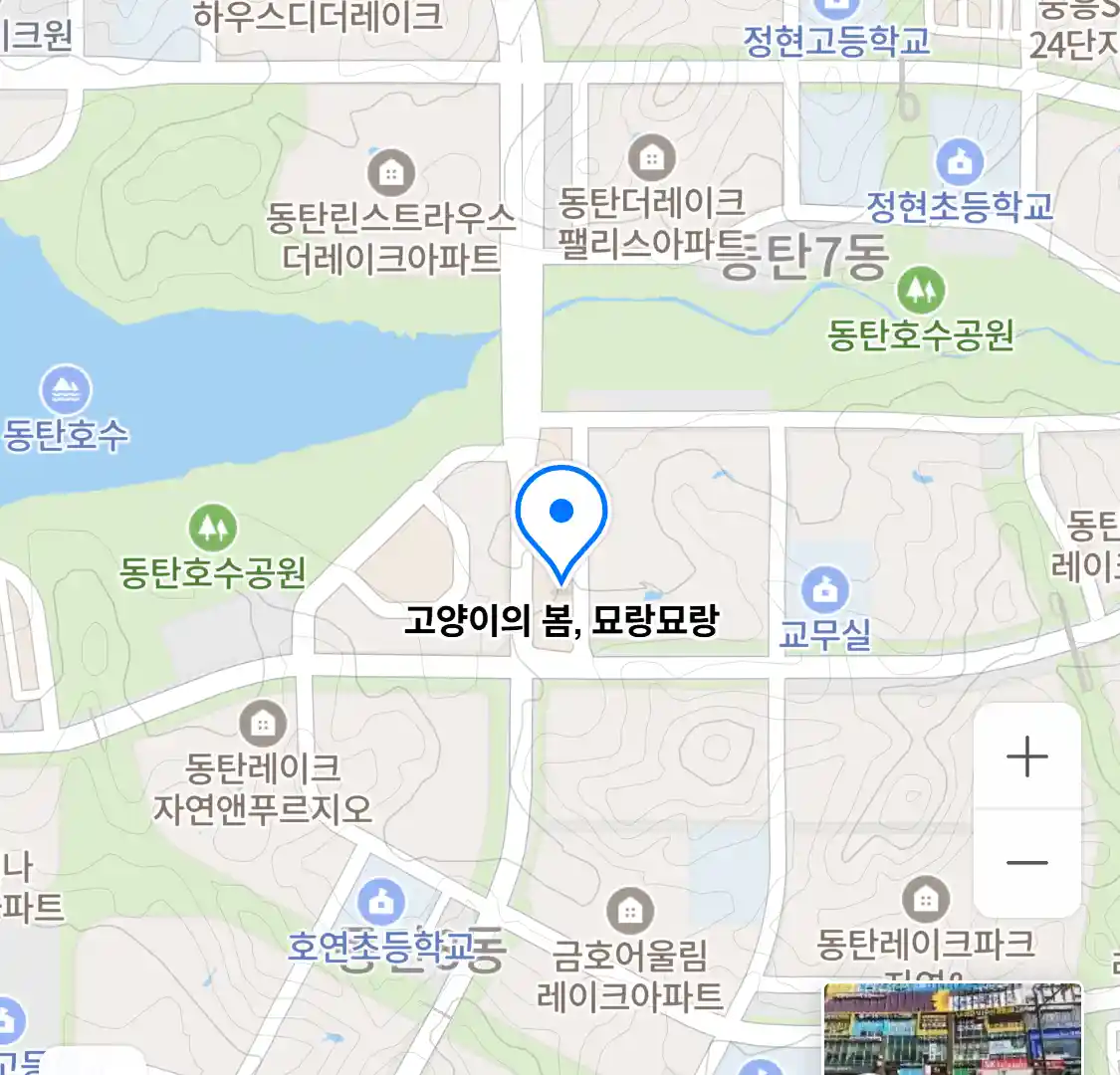 고양이의 봄, 묘랑묘랑 위치