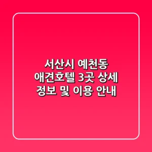 서산시 예천동 애견호텔 3곳 상세 정보 및 이용 안내