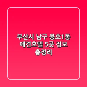 부산시 남구 용호1동 애견호텔 5곳 정보 총정리