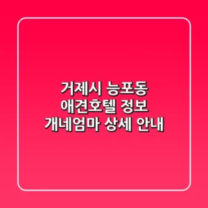 거제시 능포동 애견호텔 정보: 개네엄마 상세 안내