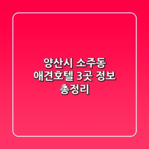 양산시 소주동 애견호텔 3곳 정보 총정리