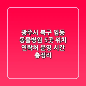 광주시 북구 임동 동물병원 5곳: 위치, 연락처, 운영 시간 총정리