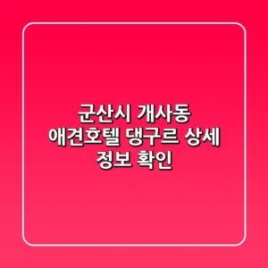 군산시 개사동 애견호텔: 댕구르 상세 정보 확인