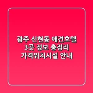 광주 신현동 애견호텔 3곳 정보 총정리 - 가격/위치/시설 안내