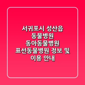 서귀포시 성산읍 동물병원: 동아동물병원, 표선동물병원 정보 및 이용 안내