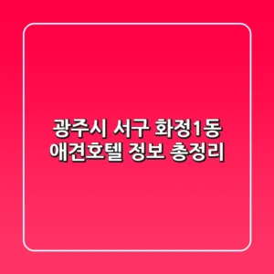 광주시 서구 화정1동 애견호텔 정보 총정리