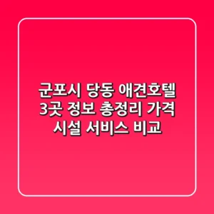 군포시 당동 애견호텔 3곳 정보 총정리 - 가격, 시설, 서비스 비교