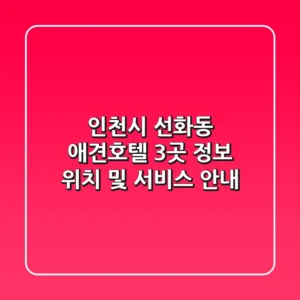 인천시 선화동 애견호텔 3곳 정보 - 위치 및 서비스 안내