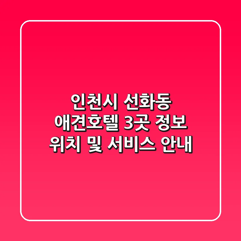 인천시 선화동 애견호텔 3곳 정보 - 위치 및 서비스 안내