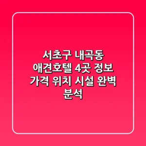 서초구 내곡동 애견호텔 4곳 정보 - 가격, 위치, 시설 완벽 분석