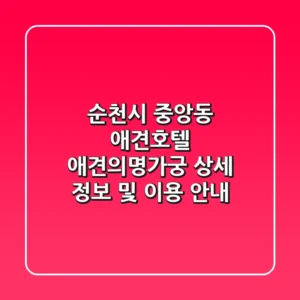순천시 중앙동 애견호텔: 애견의명가궁 상세 정보 및 이용 안내