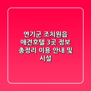 연기군 조치원읍 애견호텔 3곳 정보 총정리 - 이용 안내 및 시설