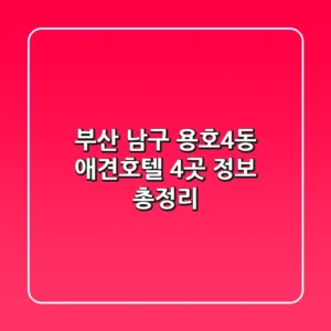 부산 남구 용호4동 애견호텔 4곳 정보 총정리