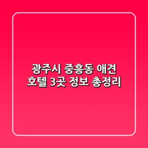 광주시 중흥동 애견 호텔 3곳 정보 총정리
