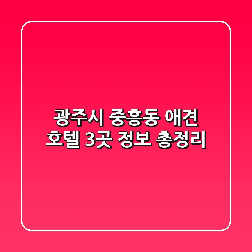 광주시 중흥동 애견 호텔 3곳 정보 총정리