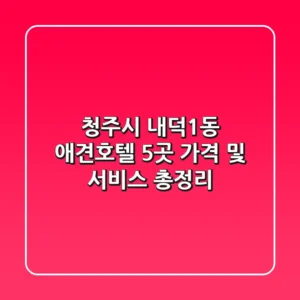 청주시 내덕1동 애견호텔 5곳 가격 및 서비스 총정리