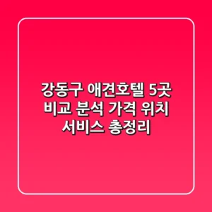 강동구 애견호텔 5곳 비교 분석: 가격, 위치, 서비스 총정리