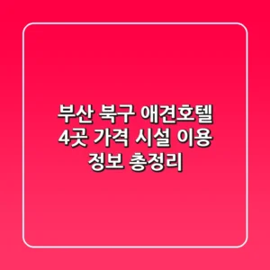 부산 북구 애견호텔 4곳: 가격, 시설, 이용 정보 총정리