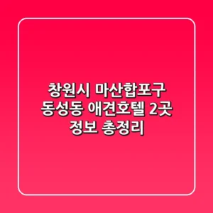 창원시 마산합포구 동성동 애견호텔 2곳 정보 총정리