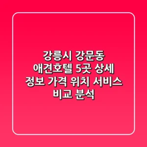 강릉시 강문동 애견호텔 5곳 상세 정보: 가격, 위치, 서비스 비교 분석