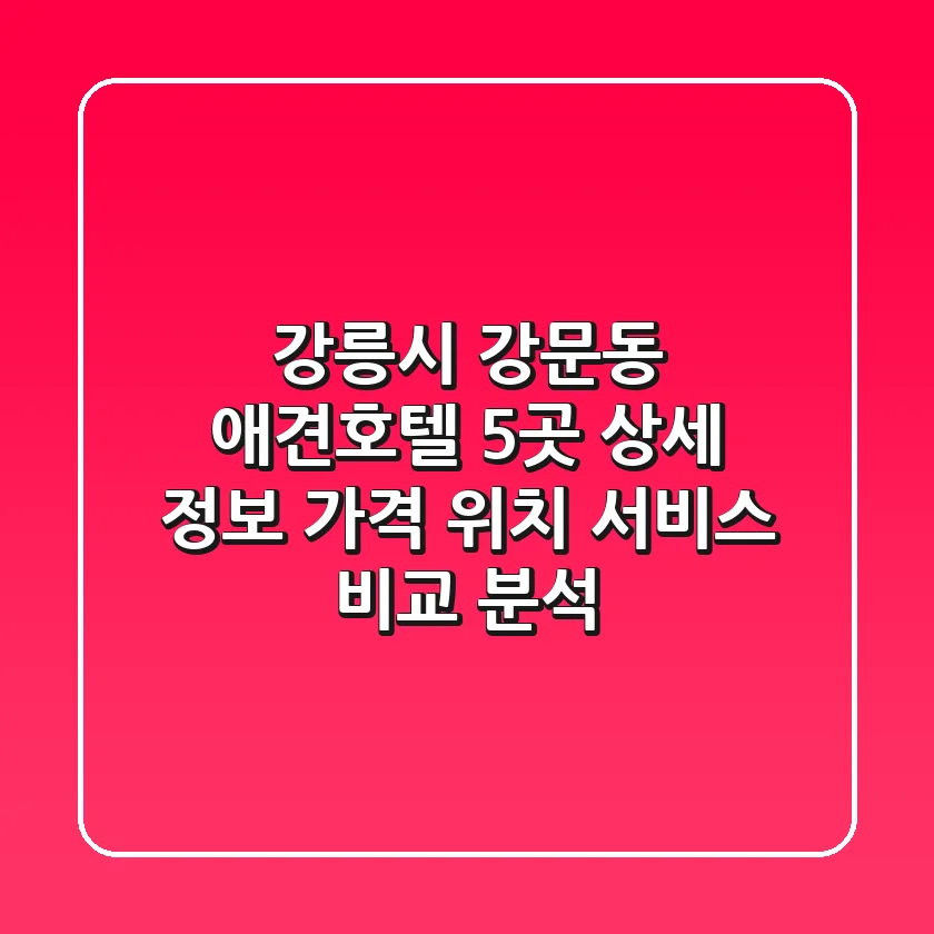 강릉시 강문동 애견호텔 5곳 상세 정보: 가격, 위치, 서비스 비교 분석