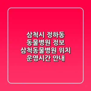 삼척시 정하동 동물병원 정보: 삼척동물병원 위치, 운영시간 안내