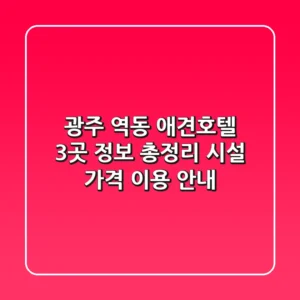 광주 역동 애견호텔 3곳 정보 총정리 - 시설, 가격, 이용 안내