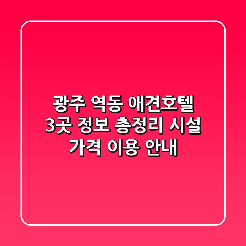 광주 역동 애견호텔 3곳 정보 총정리 - 시설, 가격, 이용 안내