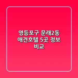 영등포구 문래2동 애견호텔 5곳 정보 비교