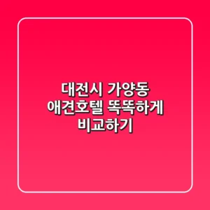 대전시 가양동 애견호텔, 똑똑하게 비교하기